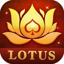 teen patti mein sabse bada patta download